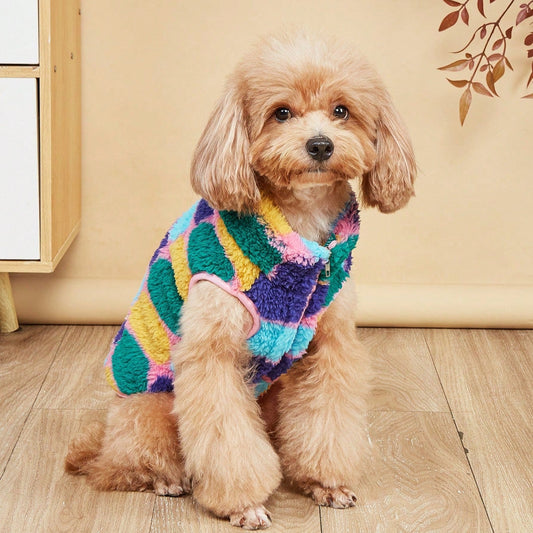 Lieve Kleurrijke Honden Trui – De Perfecte Mix van Comfort en Stijl!