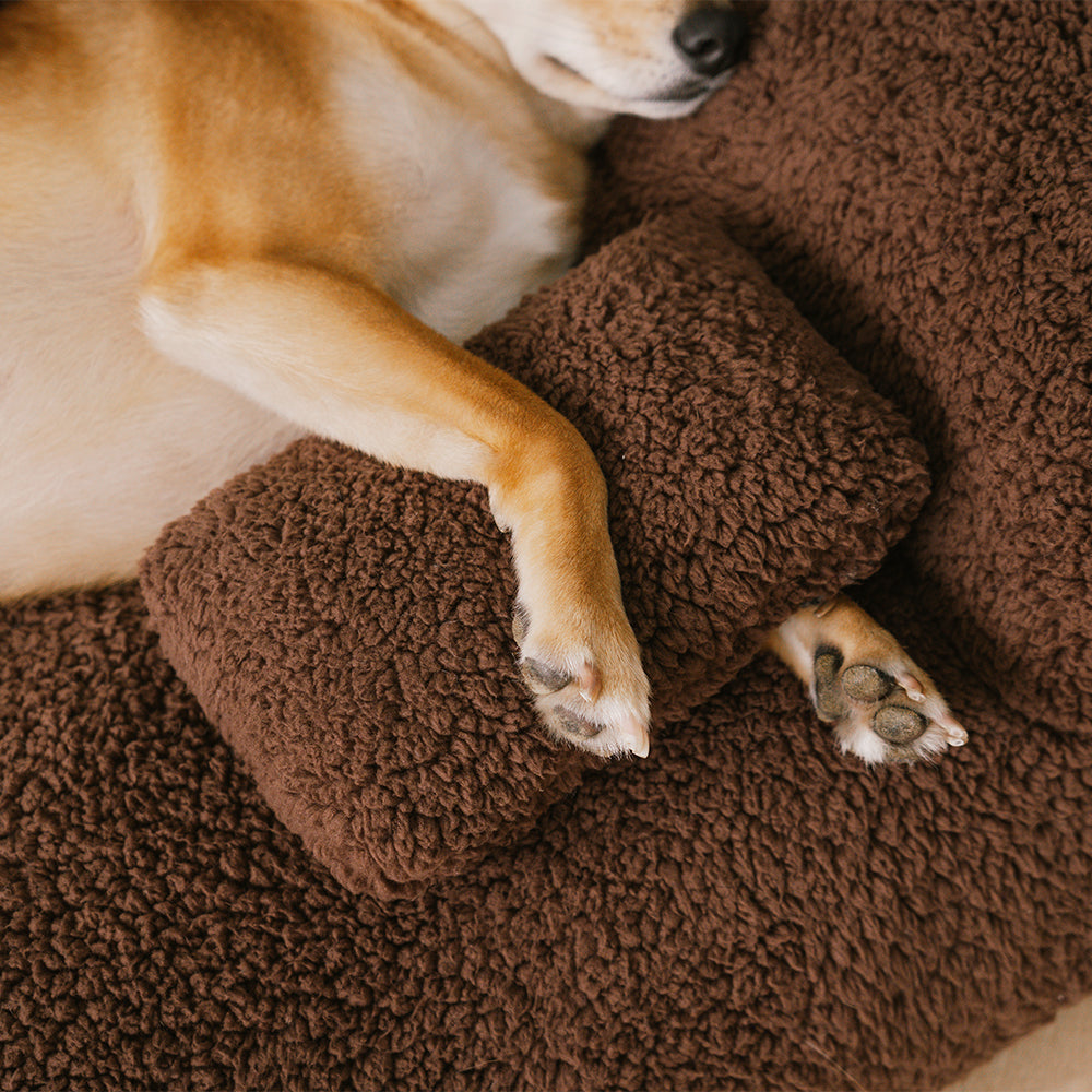 Luxe Hondenbank & Bed in 1 – Stijlvol Comfort voor Jouw Trouwe Vriend!