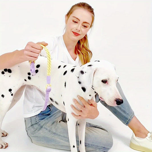 Trendy Tweekleurige Reflecterende Hondenhalsband – Stijlvol, Veilig en Comfortabel!