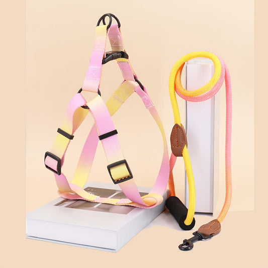 Stijlvol Hondentuig met Riem – Voor Modebewuste Honden en Eigenaren