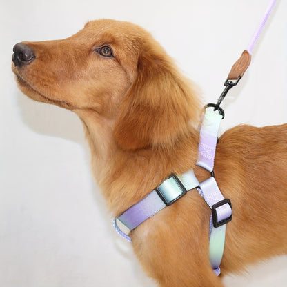 Stijlvol Hondentuig met Riem – Voor Modebewuste Honden en Eigenaren