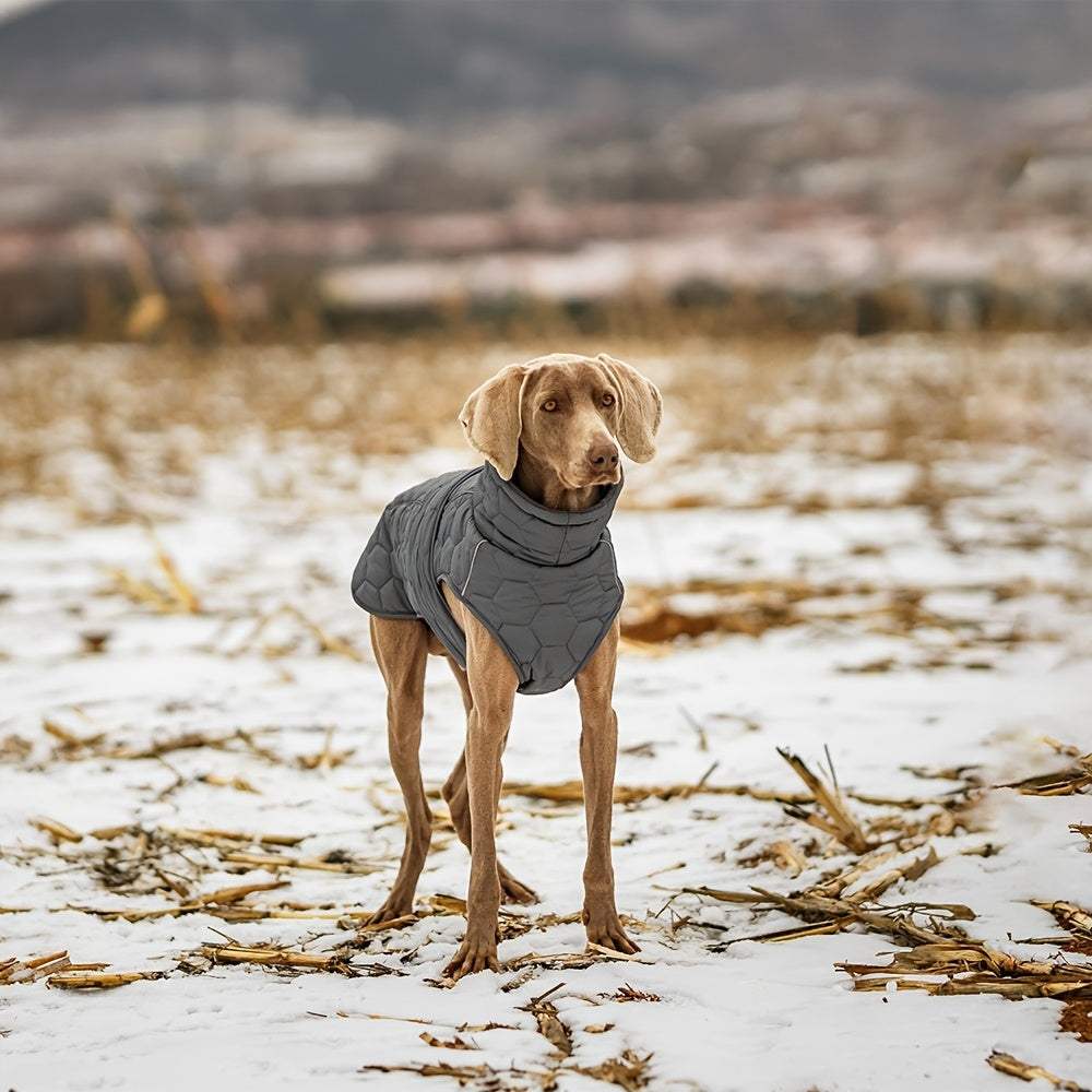 Gevoerde Regen Hondenjas – Houd je Hond Warm en Droog