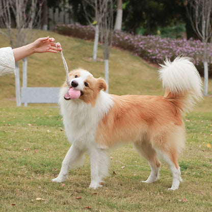 Pastel Bal met Touw – Het Speelgoed waar je Hond van Houdt!