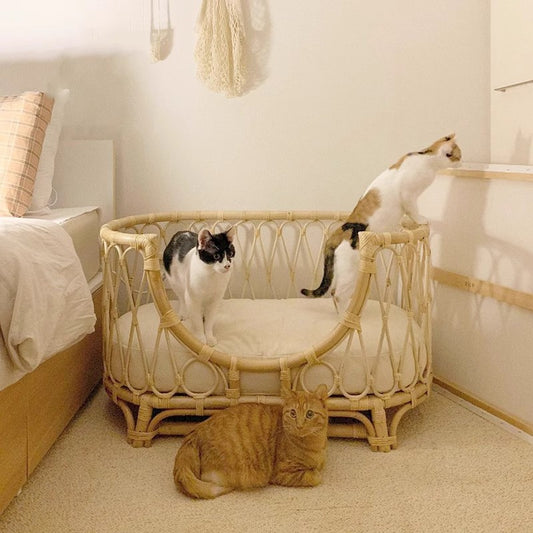 Luxe Rotan Huisdierenbed – Comfort en Stijl voor je Kleine of Middelgrote Huisdier
