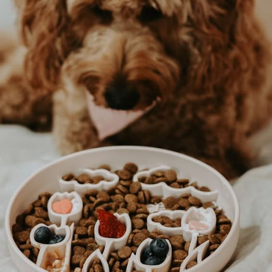 Gebloemde Tulpen Silicone Slow Feeder – Gezond Eten in Stijl voor je Hond!