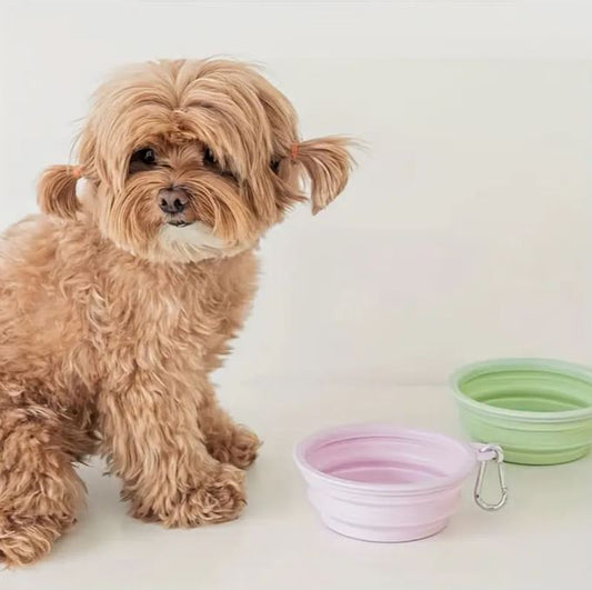 Pastel Silicone Opvouwbare Voer- en Drinkbak – Handig, Compact en Stijlvol!