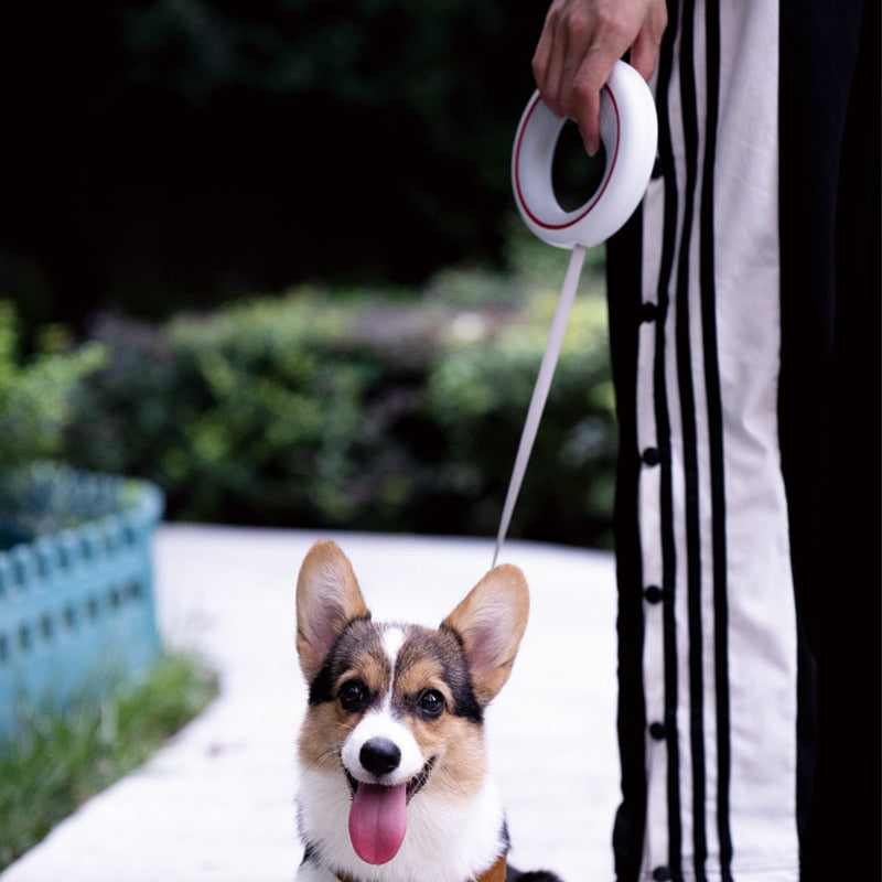 Innovatieve Handsfree Rollijn – De ultieme vrijheid voor jou en je hond!