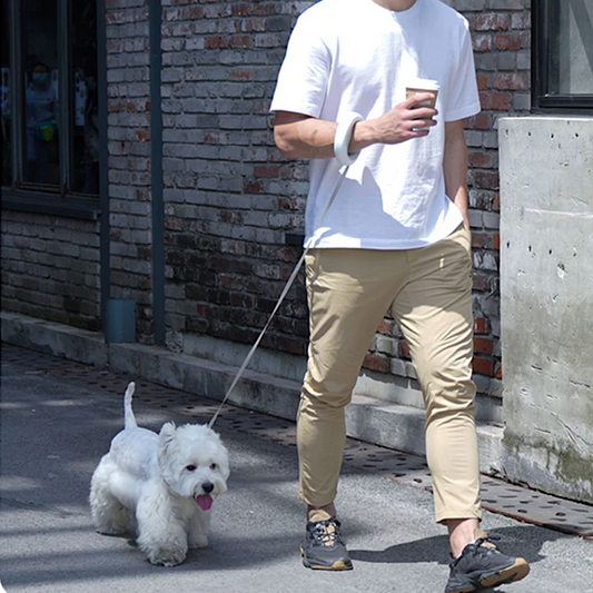 Innovatieve Handsfree Rollijn – De ultieme vrijheid voor jou en je hond!