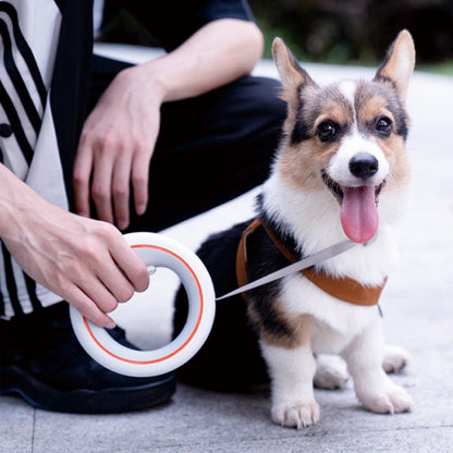 Innovatieve Handsfree Rollijn – De ultieme vrijheid voor jou en je hond!