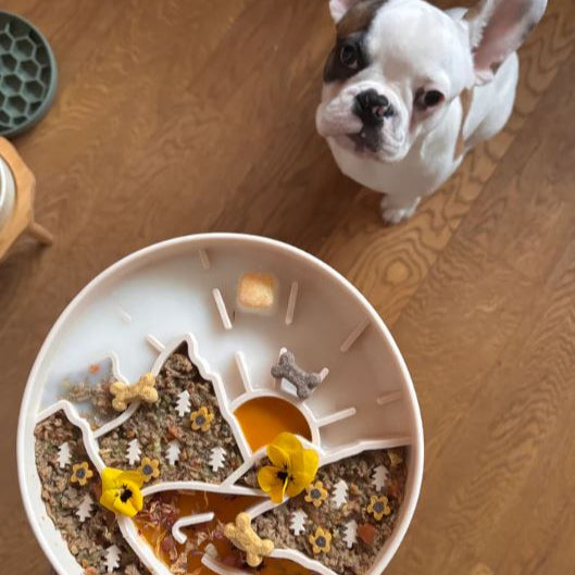 Slow Feeder Outdoor Avonturen – Voor een Gezondere Eetervaring