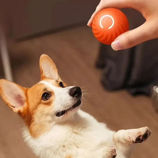 Automatische Rollende Bal voor Huisdieren – Het Speelplezier Dat Nooit Eindigt!