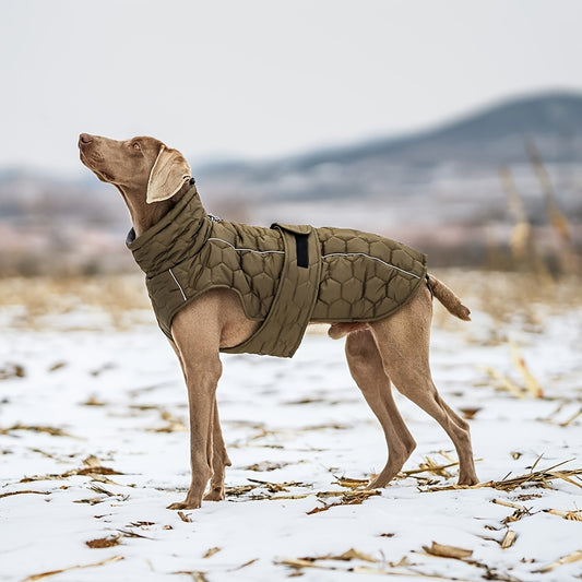 Gevoerde Regen Hondenjas – Houd je Hond Warm en Droog
