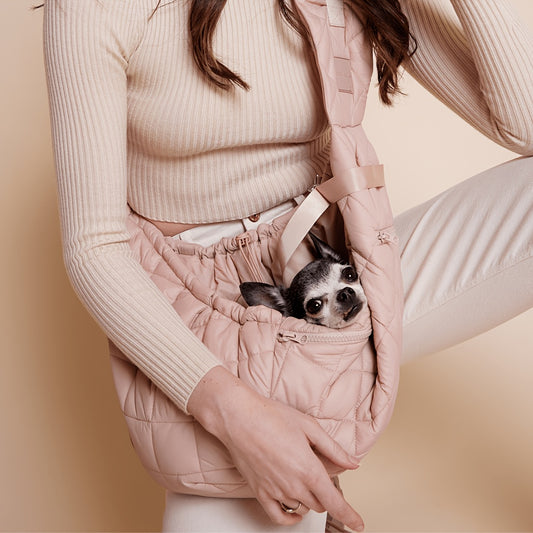 Huisdieren Draagzak: Comfort en Stijl voor Kleine Honden