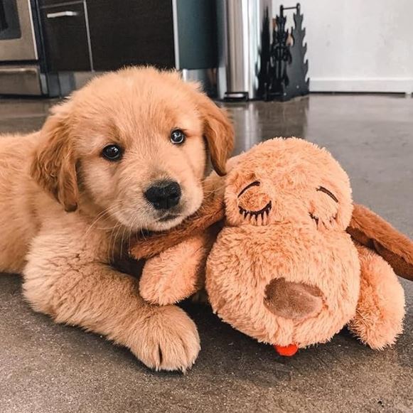 Hondenspeelgoed met Hartslag – Rustgevend en Comfortabel Gevoel voor Honden of Puppy's