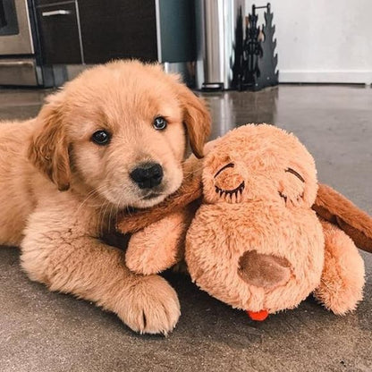 Hondenspeelgoed met Hartslag – Rustgevend en Comfortabel Gevoel voor Honden of Puppy's
